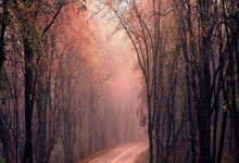 PG模拟器体育：[天下足球]希克破门 勒沃库森客场战平波鸿.