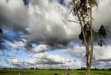 1992年来进入欧冠1/4决赛次数:拜仁23次第一,.