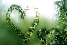 PG模拟器体育:2-2到3-1!国足太猛了,21年不输鱼腩,新归化首秀,开球时间出炉.